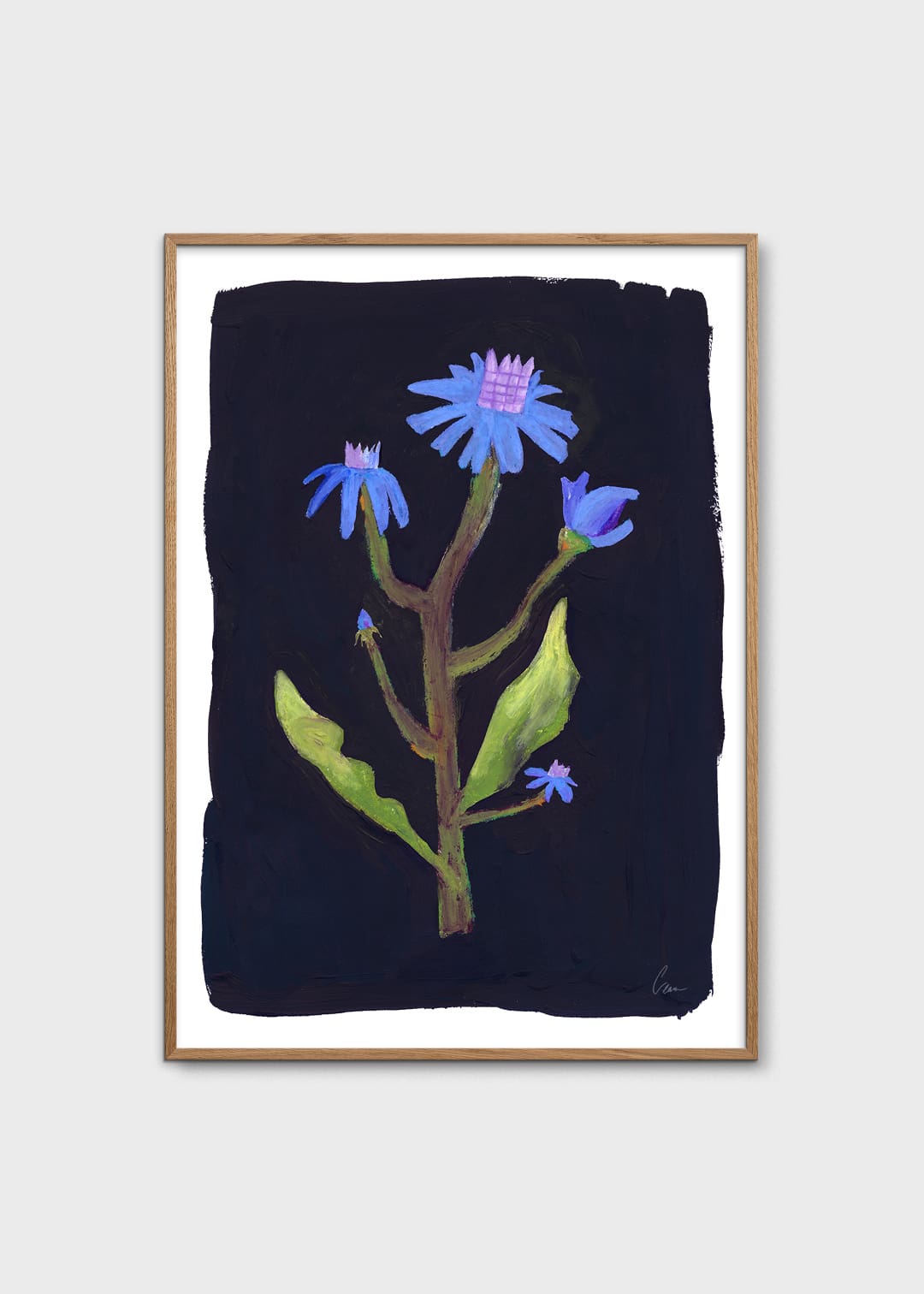 Night Flower by Clara Schicketanz