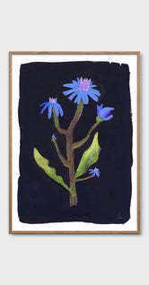 Night Flower by Clara Schicketanz