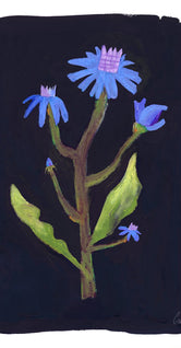 Night Flower by Clara Schicketanz