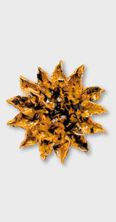 Sunflower 01 by Emilie Holm Atelier