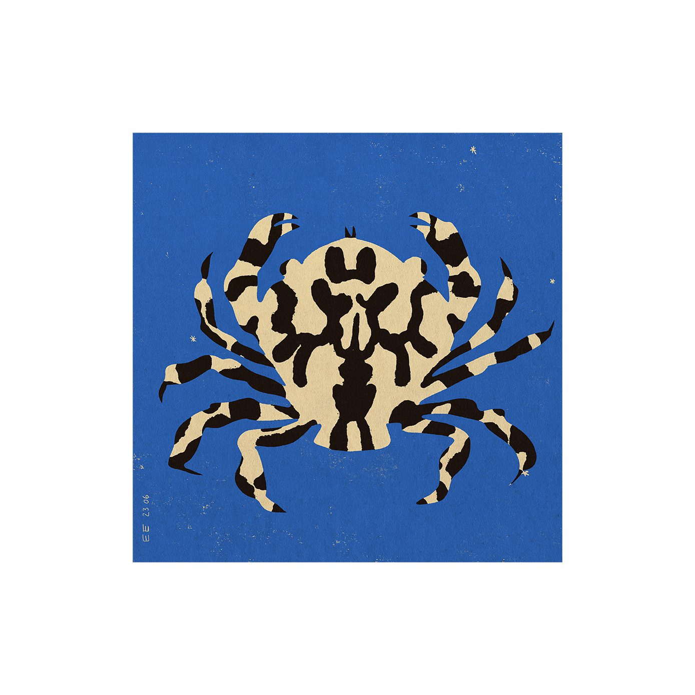 Calico Crab by Enikő Katalin Eged