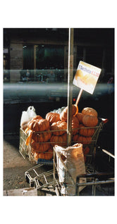 Palermo by Julie Brix