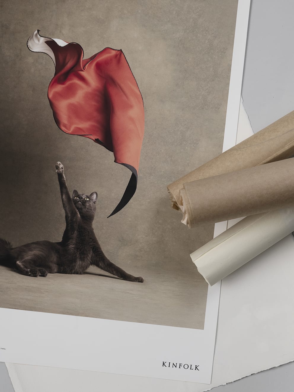 Le Chat Chic by Kinfolk