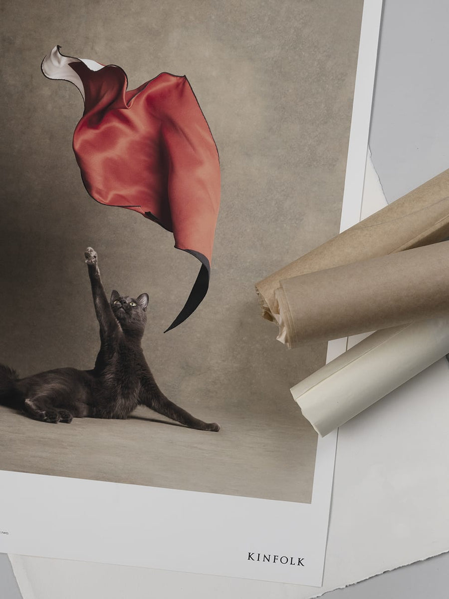Le Chat Chic by Kinfolk