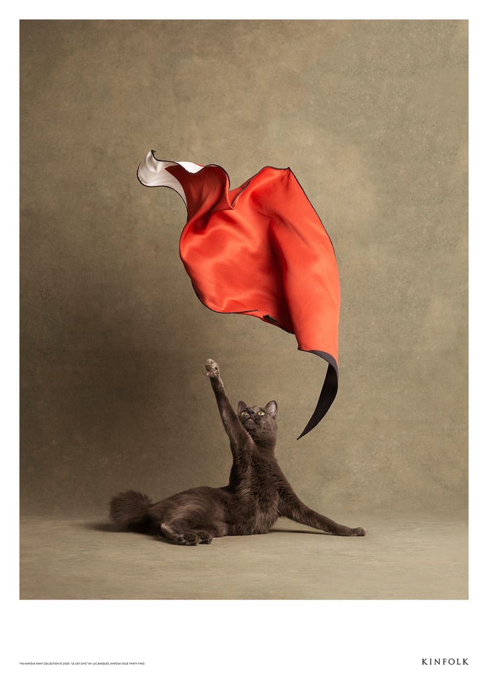 Le Chat Chic