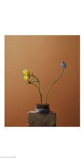Spring Flowers by Kinfolk
