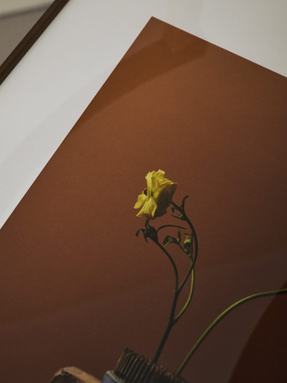 Spring Flowers by Kinfolk