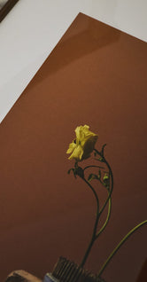 Spring Flowers by Kinfolk