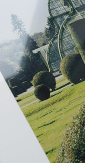 Topiary by Laura Short