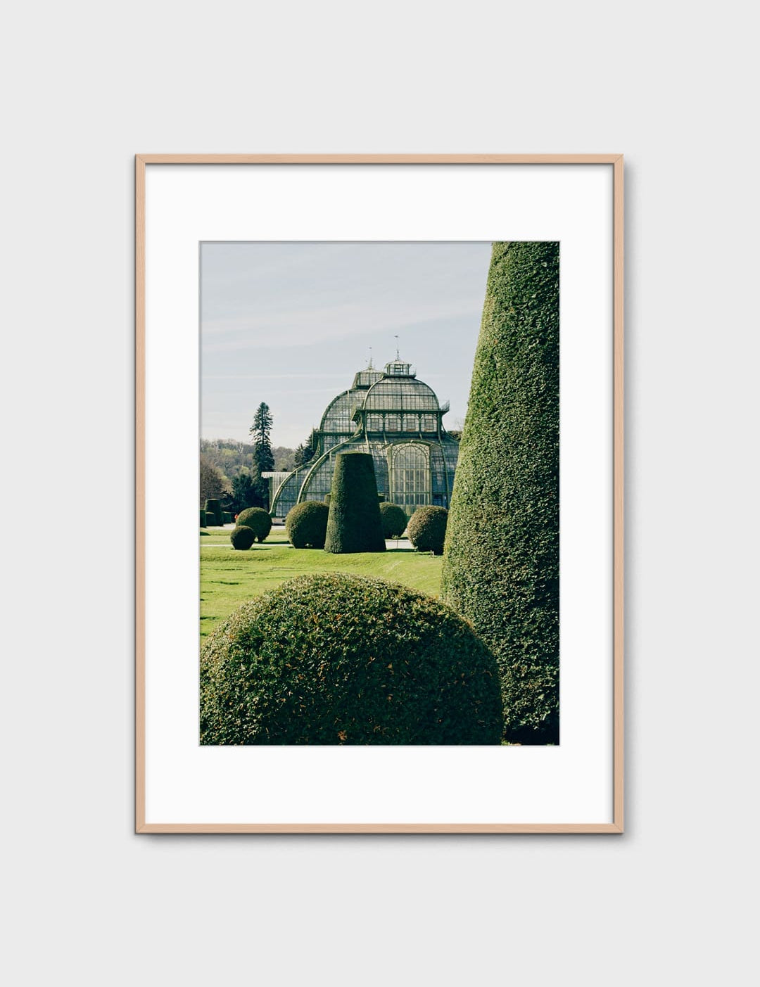 Topiary by Laura Short