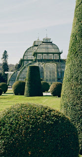 Topiary by Laura Short