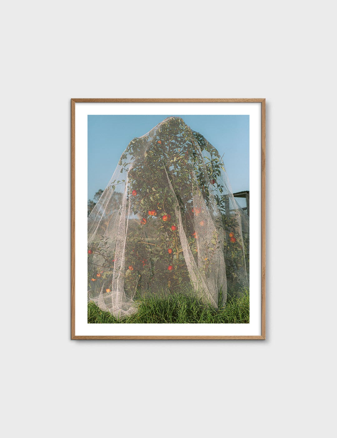 Apple Tree by Lee Burnett