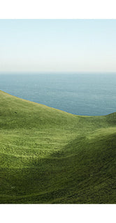 Dorset by Lee Burnett