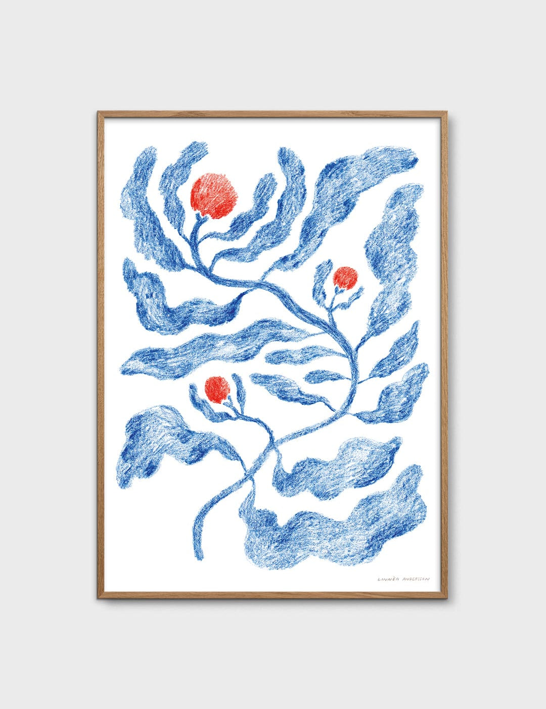 Fruits by Linnéa Andersson