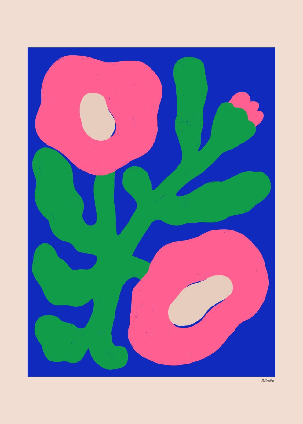Pink Poppies