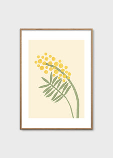 Acacia by Makitoy