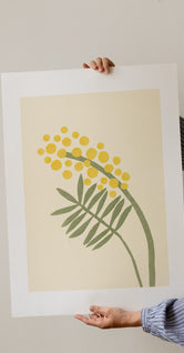 Acacia by Makitoy