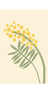 Acacia by Makitoy