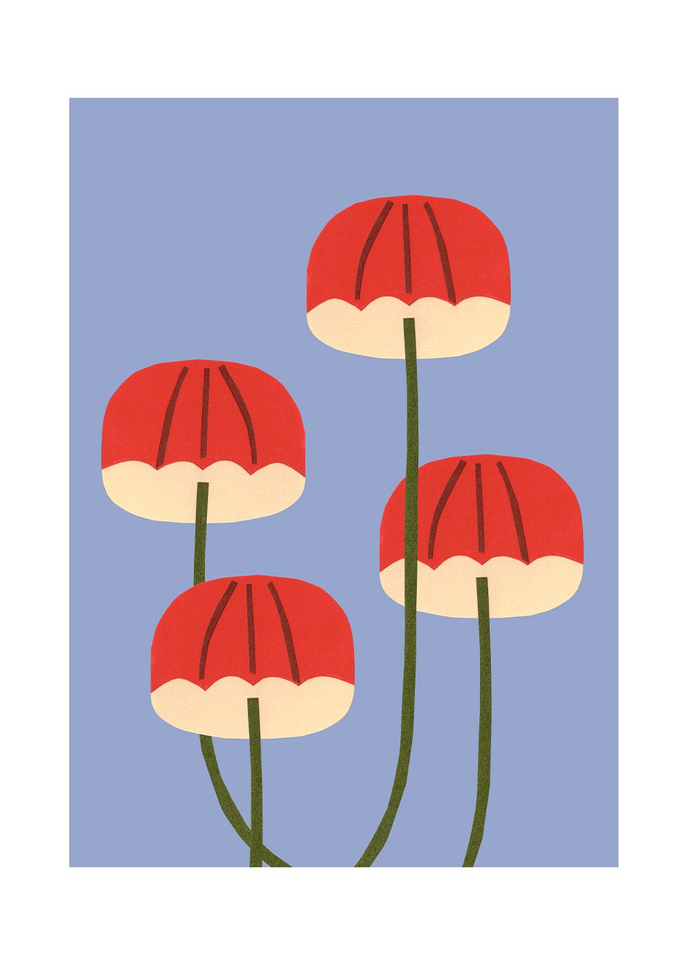 Umbrella Mushrooms