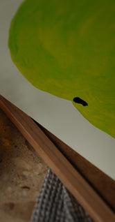 Pera Limonera 1 by Marina García Fernández