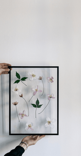 Moebe Frame Black by Moebe