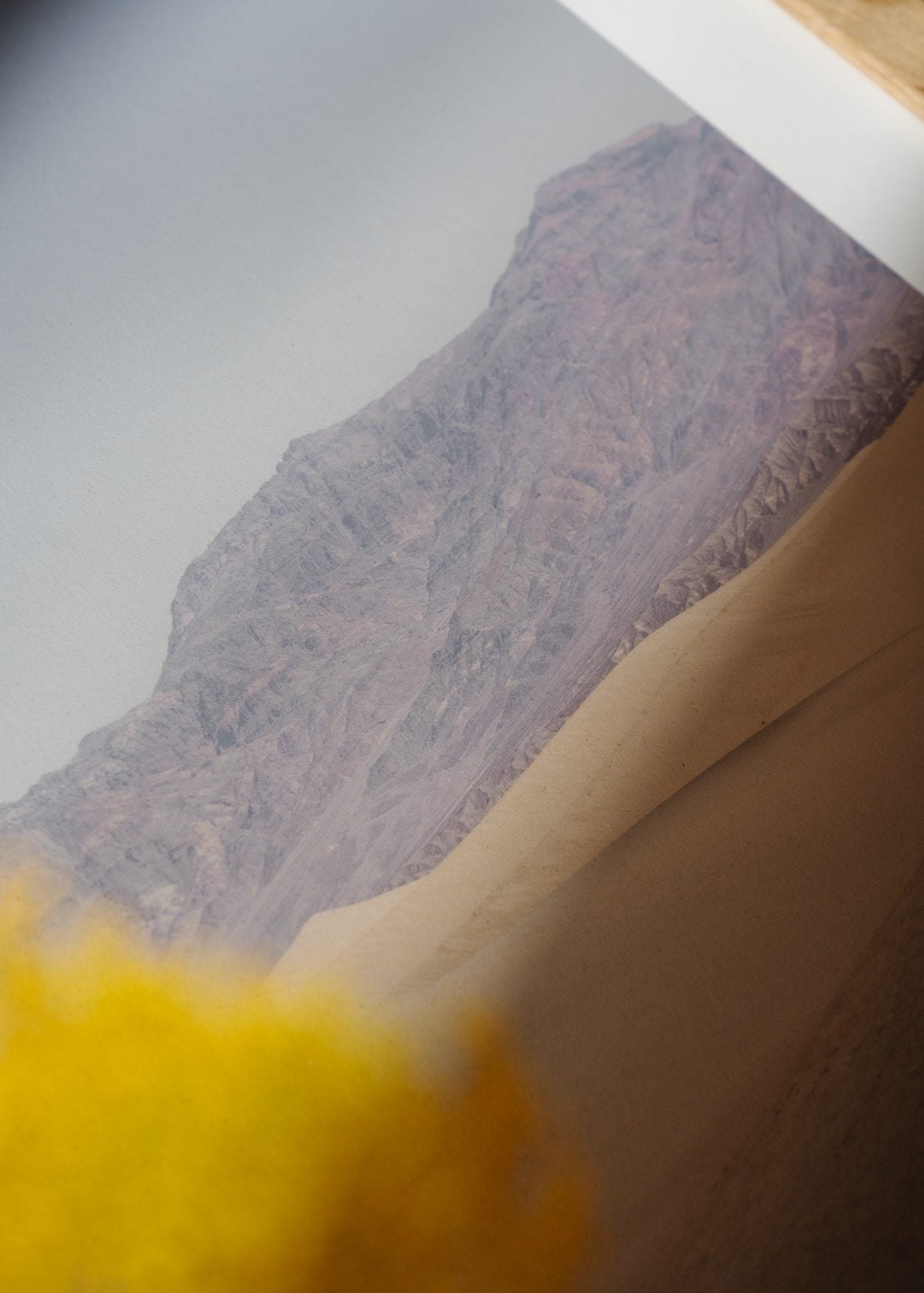 Desert Mirage by Nicole Mason | The Poster Club