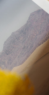 Desert Mirage by Nicole Mason
