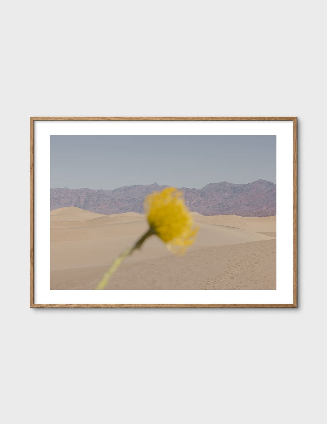 Desert Mirage by Nicole Mason
