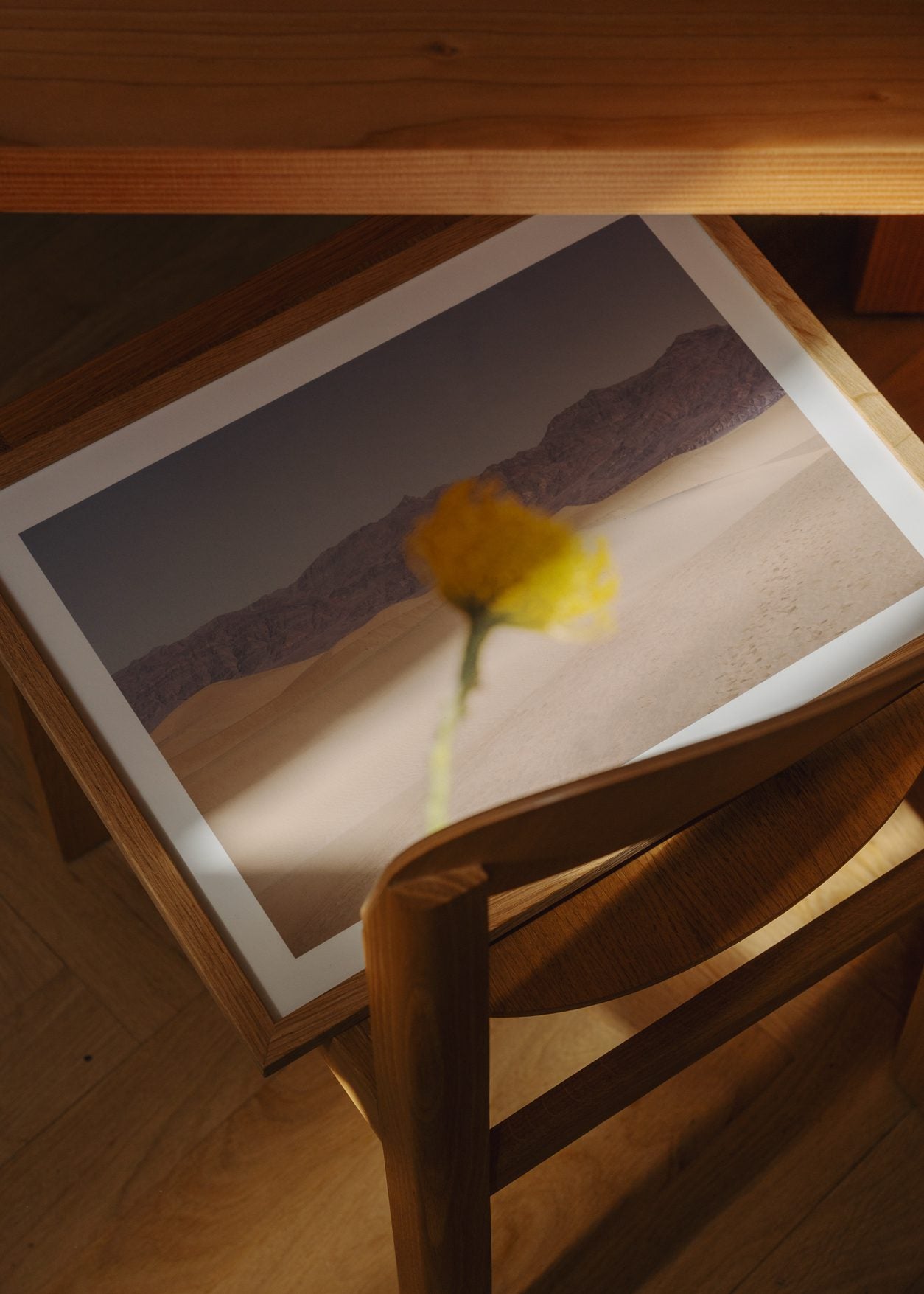 Desert Mirage by Nicole Mason | The Poster Club