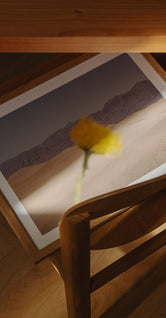 Desert Mirage by Nicole Mason