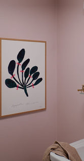Agapanthus by Nygårds Maria Bengtsson
