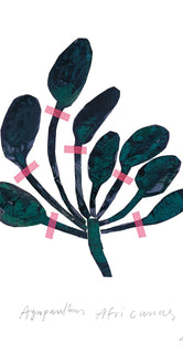Agapanthus by Nygårds Maria Bengtsson