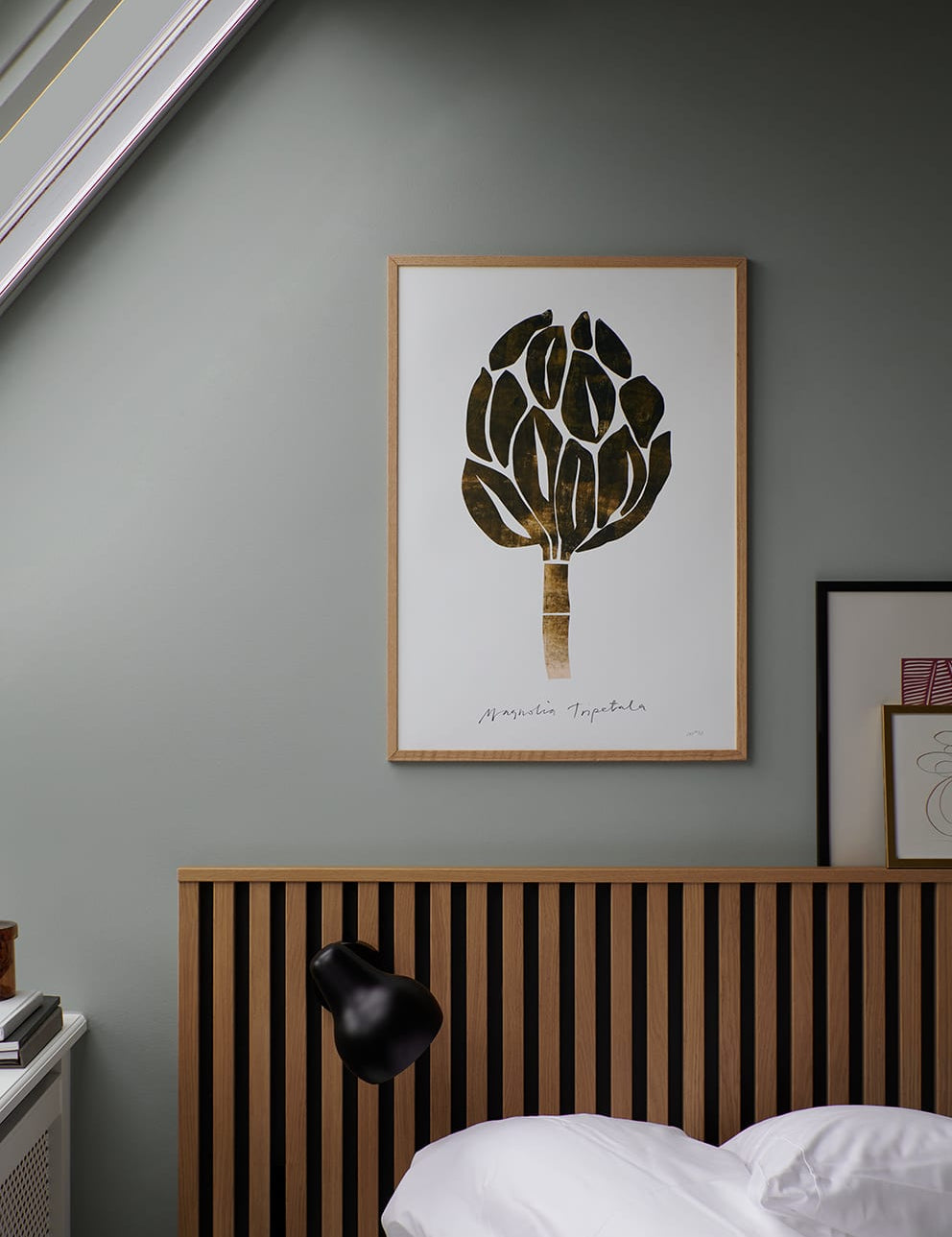 Magnolia
