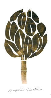 Magnolia by Nygårds Maria Bengtsson
