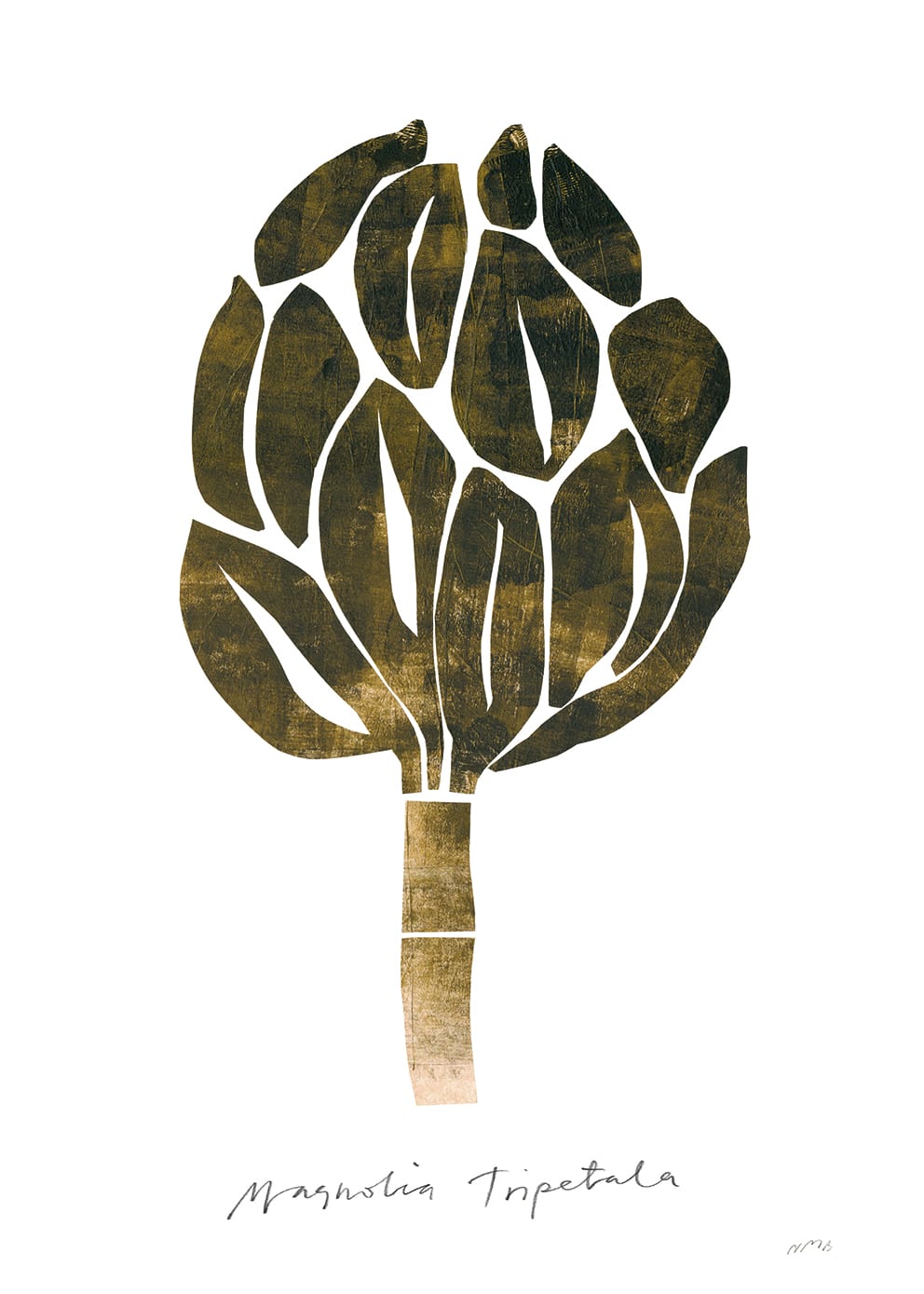Magnolia