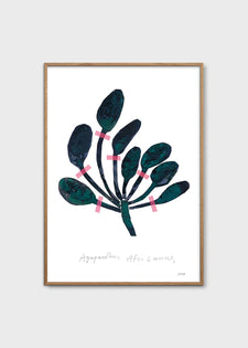 Agapanthus by Nygårds Maria Bengtsson