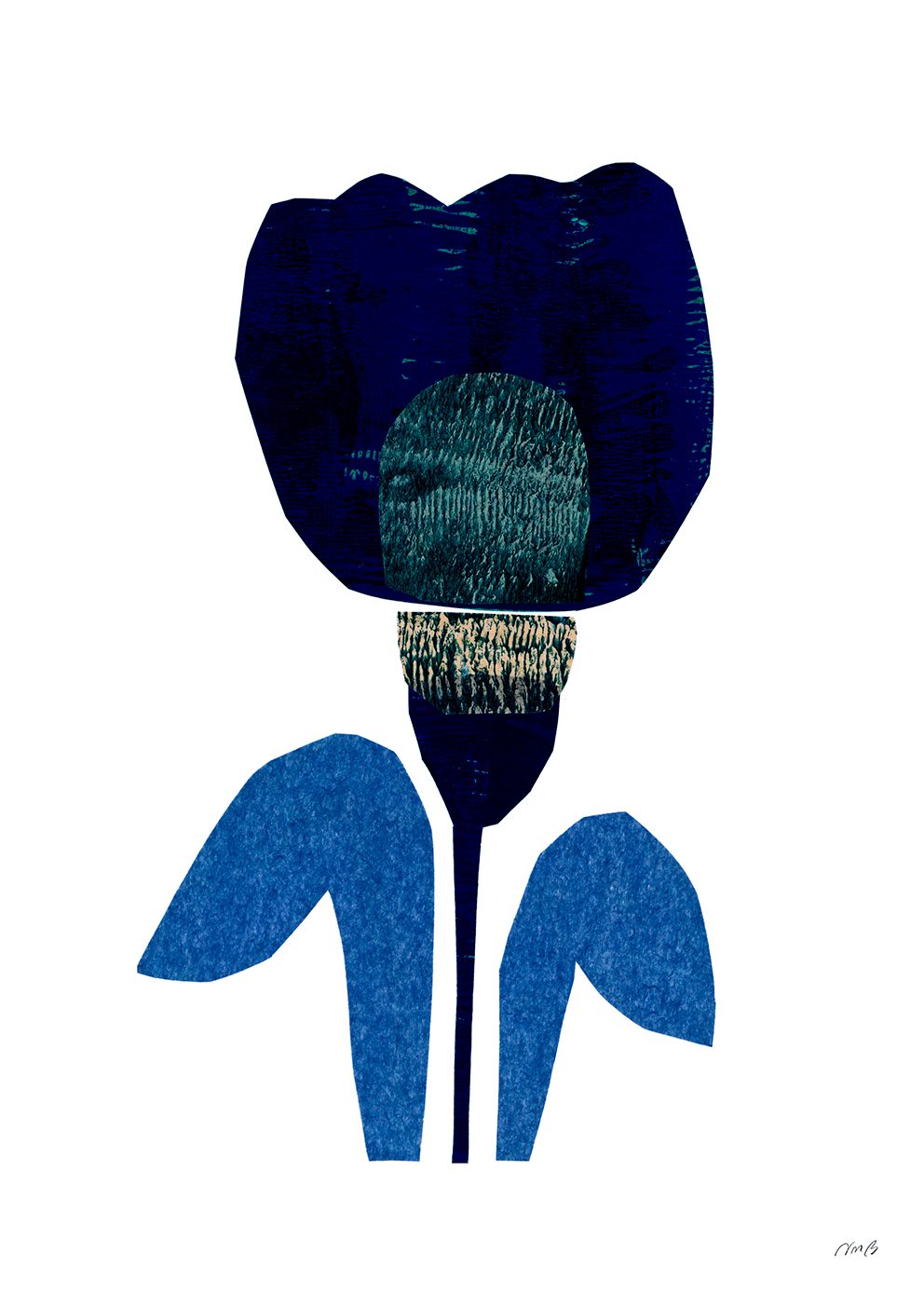 Tulip