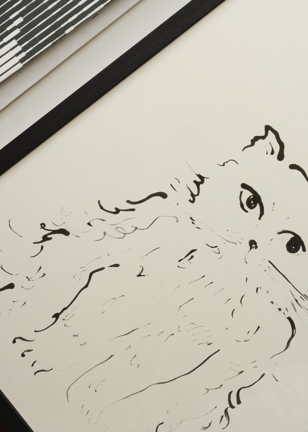 Cat by Oamul