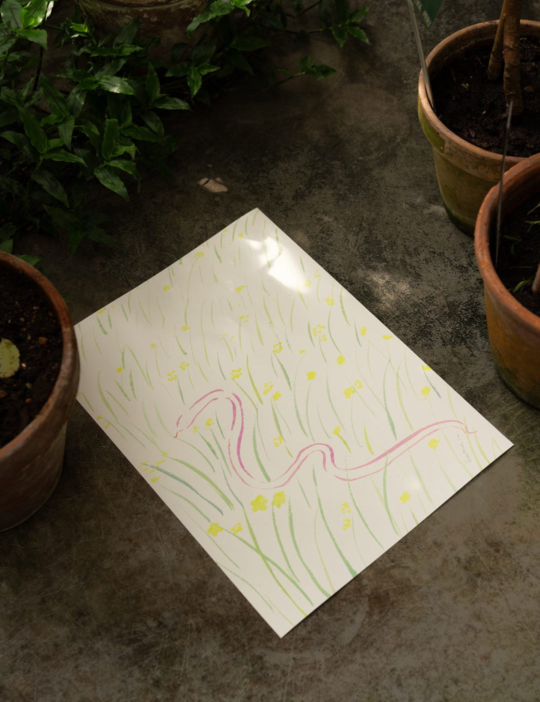 Daffodils and Snake
