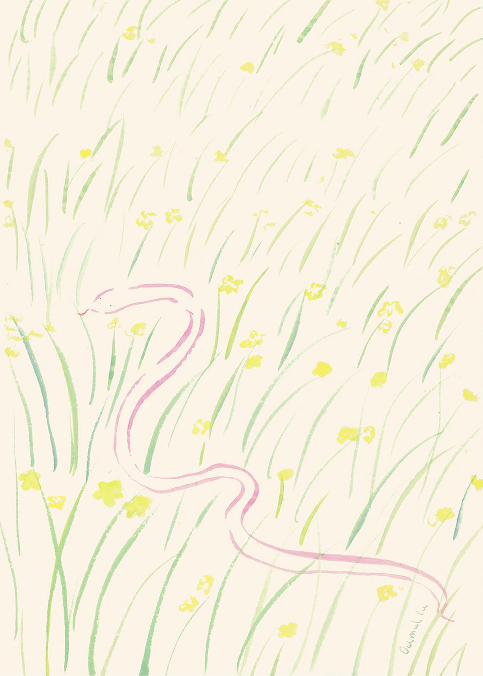 Daffodils and Snake