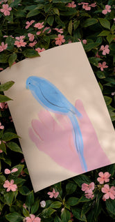 Parrot in Hand by Oamul