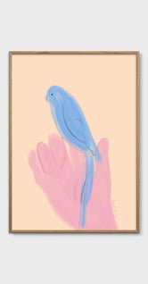 Parrot in Hand by Oamul