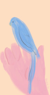 Parrot in Hand by Oamul