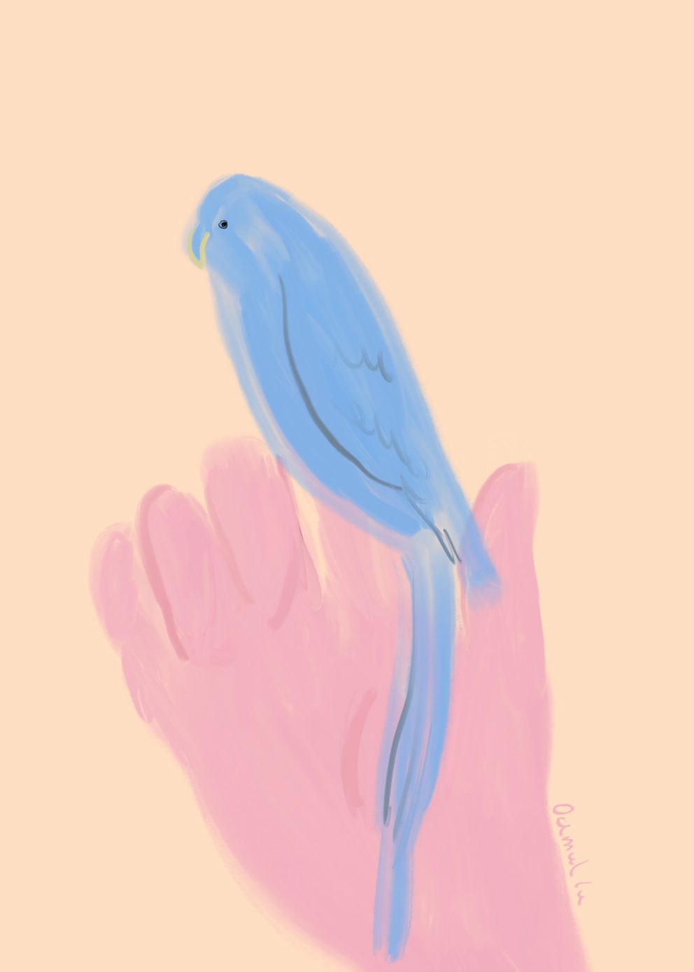Parrot in Hand