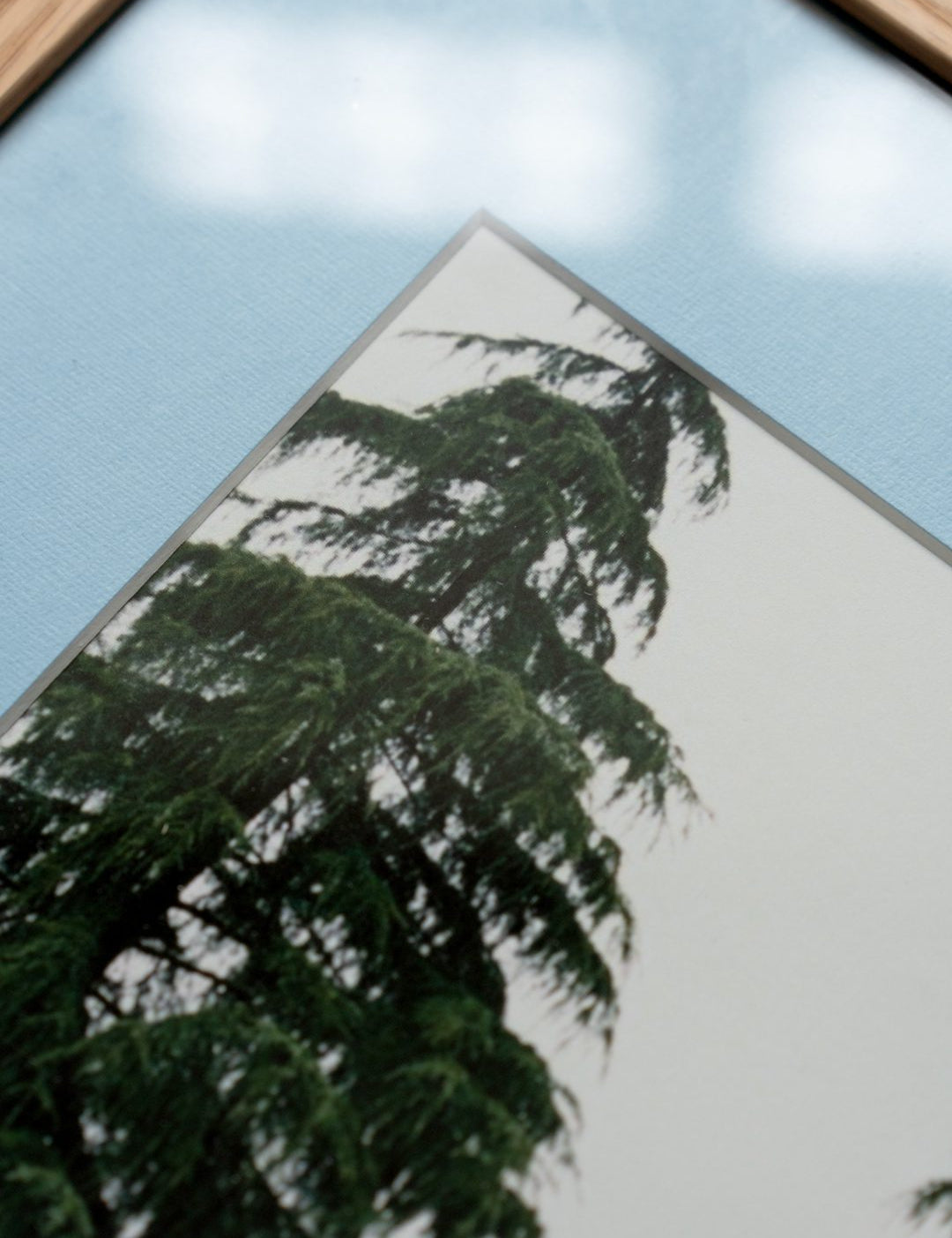 Light Blue Passepartout