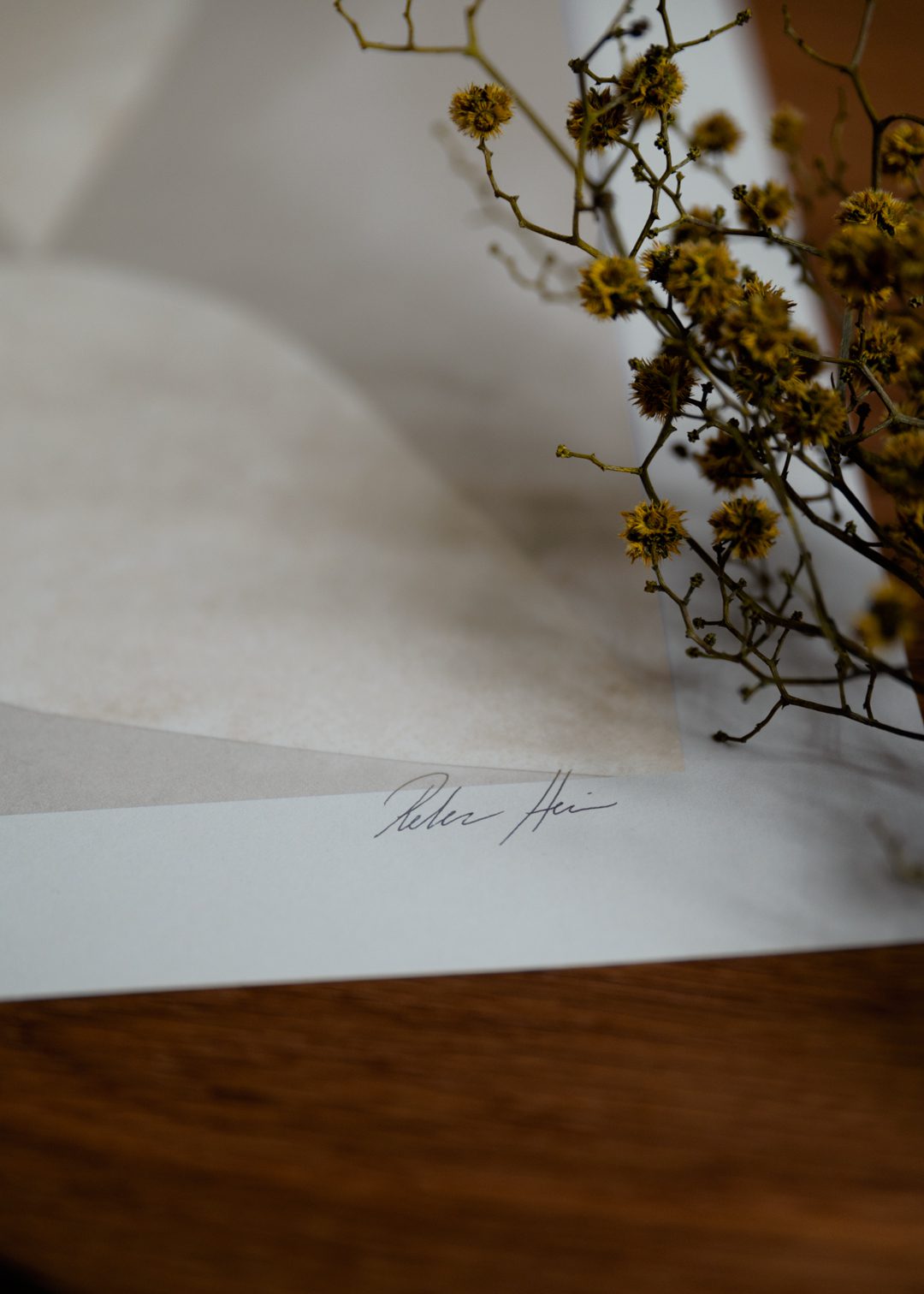 Edge no. 04 by Rebecca Hein
