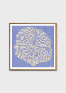 Sea Lavender by Rebecca Hein