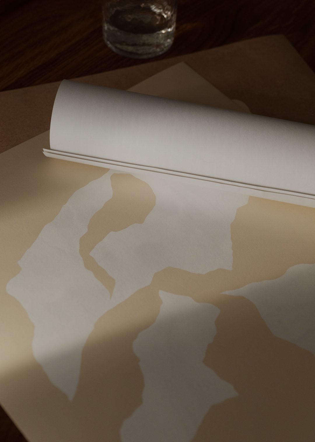 Shadow no. 03 by Rebecca Hein