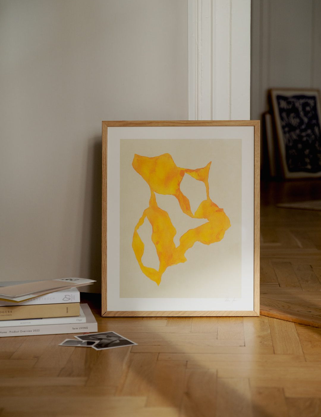 Shadow no. 14