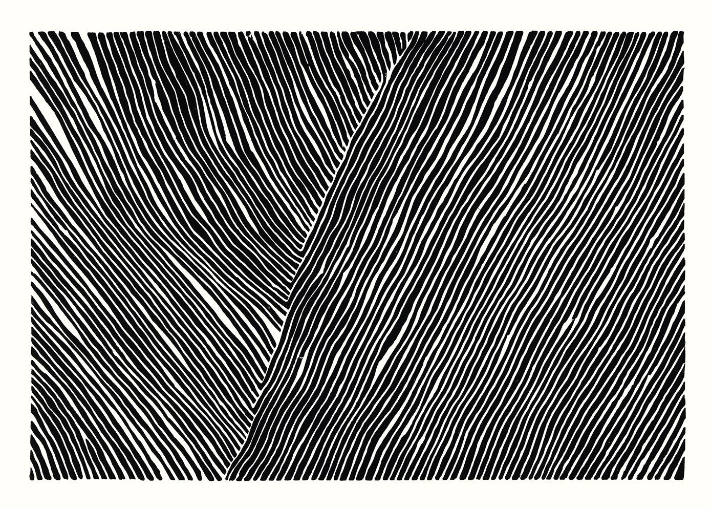 The Line no. 01